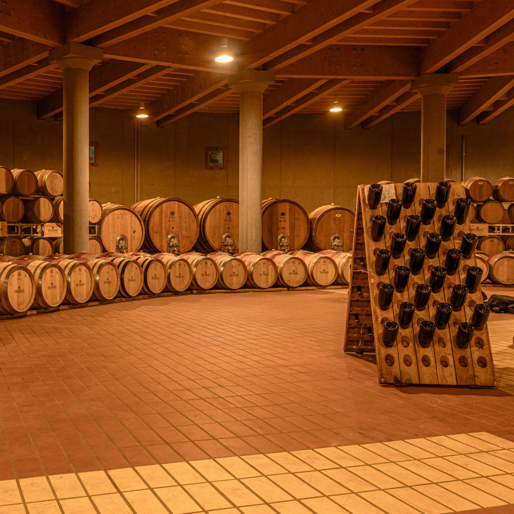 Tai Rosso Colli Berici DOC