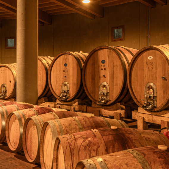 Merlot Colli Berici Doc – 25° Anniversario