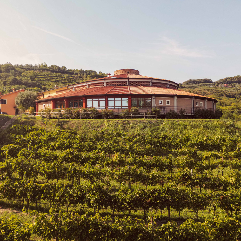 Colpizzarda Tai Rosso Colli Berici DOC