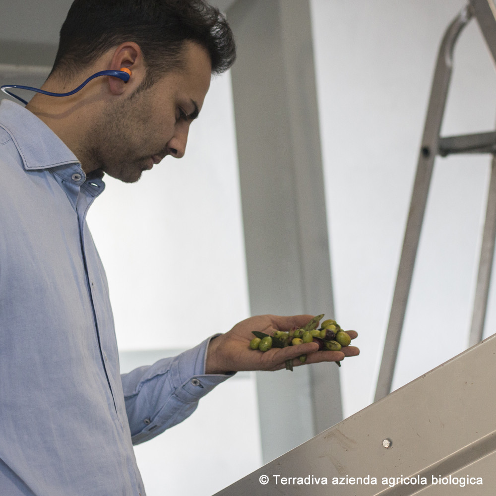 Andante - feines, natives Bio-Olivenöl extra