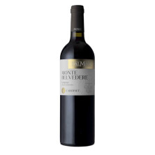 Montebelvedere Cabernet Veneto IGT