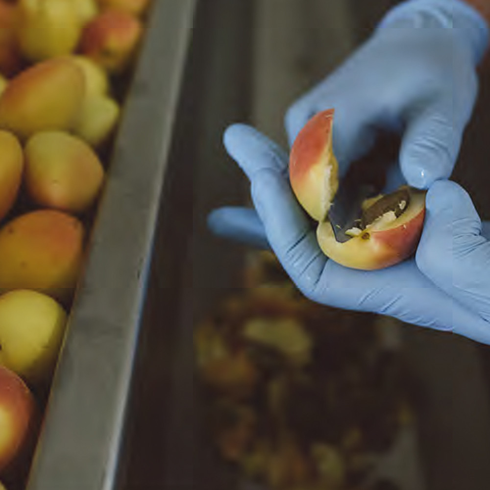 GREENGAGE PLUM EXTRA JAM