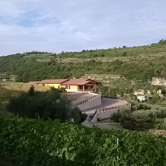 Valpolicella  D.O.C. Superiore Valli di Mezzo 2022