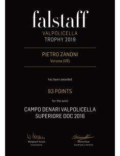 Valpolicella D.O.C. Superiore “Campo Denari” 2016 2
