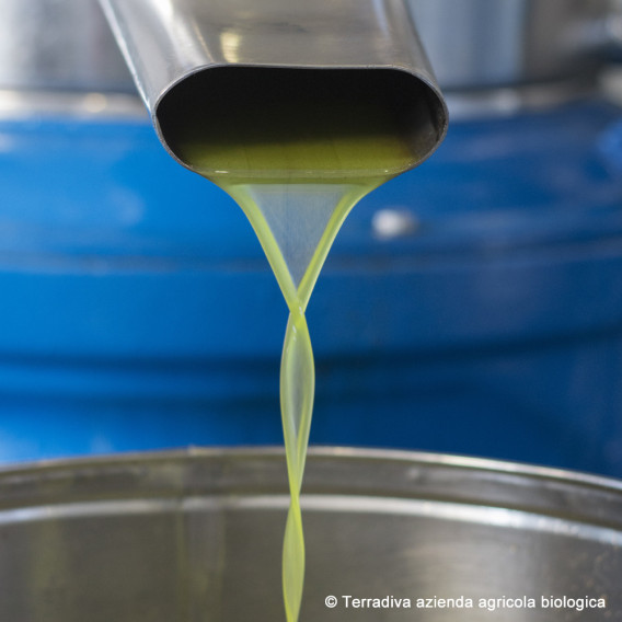 ALLEGRO 500 ml, intense organic extra- virgin olive oil