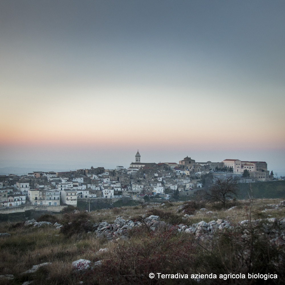 ISTANTS OF APULIA - ALLEGRO: Sammlung for 4 verschiedene Dosen