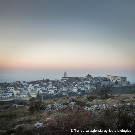 ISTANTS OF APULIA - ALLEGRO: Collection of 4 different cans