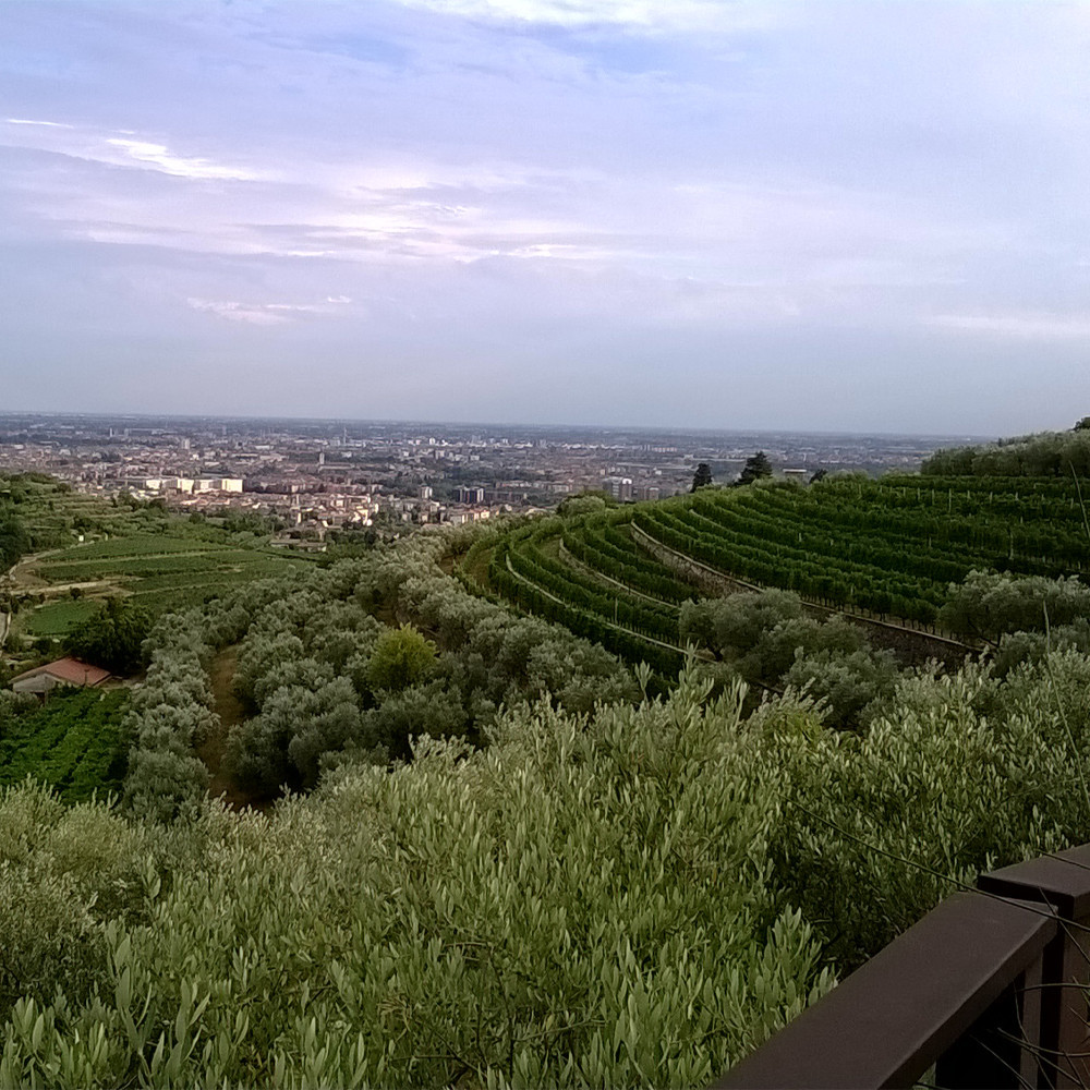 Valpolicella  D.O.C. Superiore Valli di Mezzo 2022